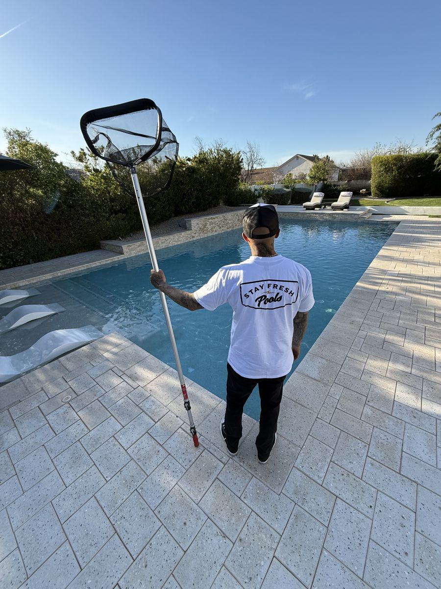 Stay Fresh Pools technician skimming a backyard pool during a weekly pool service visit in Queen Creek, Arizona